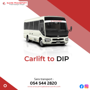 carlift to DIP